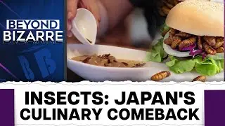 Japan's Bug Food Industry Is Buzzing, Going For The Mainstream | Beyond Bizarre