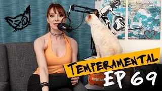 The Vengabus: IT'S COMING!!! (Ep 69) | Temperamental with Lisa Foiles