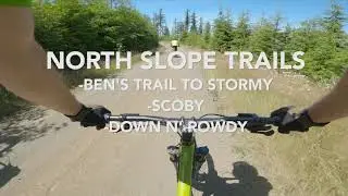 Mountain Biking and Shuttling The North slope Trails (Full Trails Olympia WA)