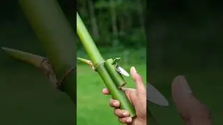 DIY Bamboo Creations with Fork and clour Balloone Slingshots #Bambooart