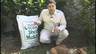 Garden Hazards