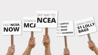 How to Get Involved with Politics | Civic Participation