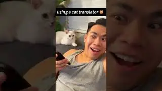 Funny CAT Moments 😂😂 episode 3818 #funnycats #cats #funnyanimals #petsofinstagram