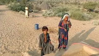 Water is the life of the people of Thar | Water is considered gold in the desert 