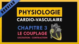Physiologie Cardio-Vasculaire - Chapitre 3 - Le Couplage excitation-contraction