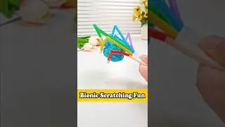 Bionic Scratching Toy for Kids | Children Educational Tutorial #diy