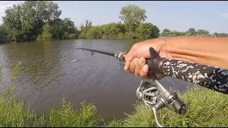 Fishing for MONSTERS at Marshall Spillway and Millpond