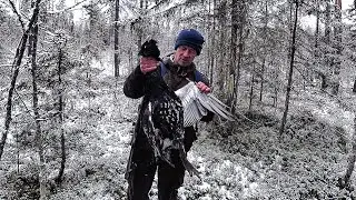 Добыл глухаря со 150 метров. Вот зачем нужна 