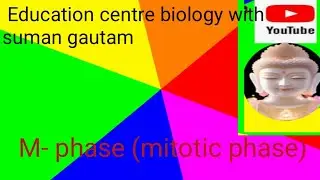 M- phase (mitotic phase)