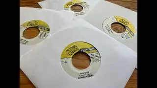 Haunted Riddim Mix 1996 (Baby Cham, Wayne Wonder, Bounty Killer, Lady Saw, Spragga Benz & more)