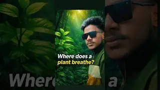 Where Does a Plant Breathe? 🌱 | Plant Respiration Explained Simply #viralvideo