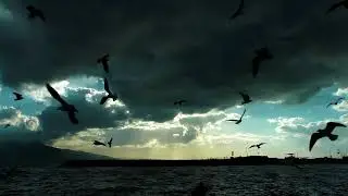 RedFlame - Не забывается