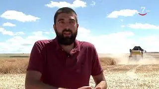 Surcos (470).- Cultivo de colza, aumento de las zonas vulnerables
