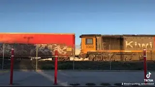 DL 9302 with M30P approaching Rotokauri station NIMT  ( No Sound )