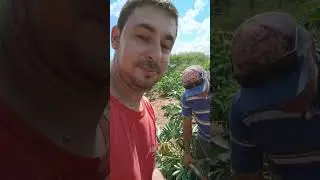 5 de fevereiro de 2026