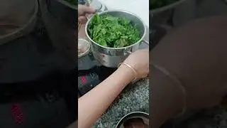 What to Eat Today? Delicious Stir-Fried Frog with Hoja Santa | Sun Bui Daily Vlog #food #cooking