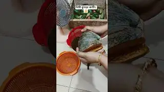 Sweet Pumpkin Cutting #shorts #short #viralshorts #cuttingtips #pumpkin #sweet pumpkin
