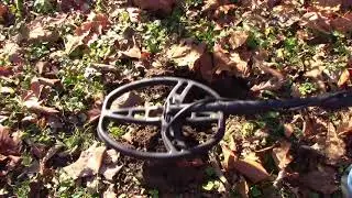 Metal Detecting Calamity in Indiana