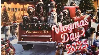 Адвент-календари Vlogmas Day 2025 и коллекция Dollorama — 660