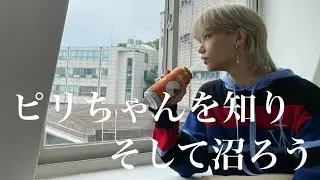 初心者さん向け、ピリちゃんの紹介動画🐣〈StrayKids/スキズ/Felix/フィリックス〉【日本語字幕】