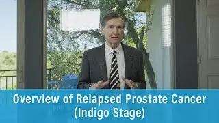 Overview of Relapsed Prostate Cancer (Indigo Stage) | Prostate Cancer Staging Guide