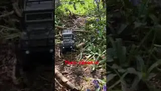 Trail crawl ftx outback mini