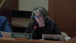 2025 NOV 5 Regular Meeting of the Permanent Council (Continuation)