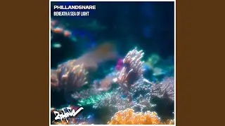 Beneath a Sea of Light