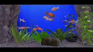 Goldfische Kois schwarzer Neon#fishtank water sound no music #relax Fishfarm 3 Ambience #asmr sch&ouml;n