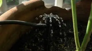 Irrigation System for your Victorian or Modern Greenhouse