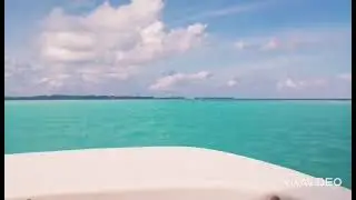 Day tour in Carp Island - Palau 🇵🇼