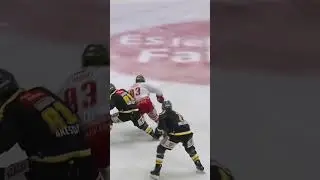 FRIGOOOO🔥🔥🔥 #shorts #hockey #goal #hcbfoxes