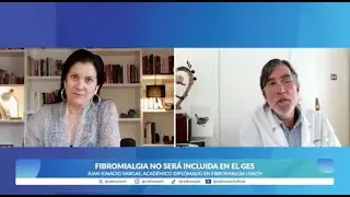 Dr. Juan Ignacio Vargas sobre fibromialgia: 