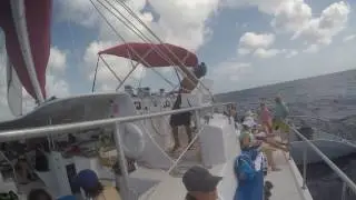 2017 Vacation Short