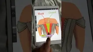 🧵Making a Corset BIGGER!  #inclusivefashion #patternmaking #dressmaking