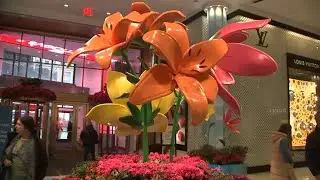 48th Annual Macy's Flower Show returns