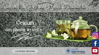 Leacuri din Grădina Maicii Domnului - Ceaiuri din plante aromatice