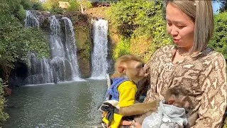Baby Monkey  Mom Take DouDou And Bono Go To Play At The Water Fall