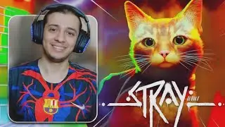 تختيم لعبة Stray | رحلة قط وحيد في عالم مهجور و مفاجاة في نهاية البث