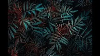 [No Copyright Sound] Electronic Vlog [ FREE USE MUSIC ] - Jay Someday - Te Quero