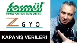 Halka Arz Kapanı Verileri - Form&uuml;l Plastik - Z-gyo Alan Satan Kurumlar - Tavandaki Lotlar