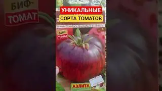 Лучшие сорта томатов! Вкусные сладкие мега урожайные томаты! Урожайные сорта томатов