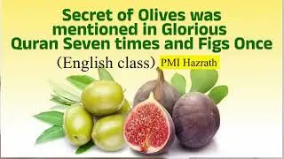 Secret of Olives was mentioned in Glorious Quran Seven times and Figs Once(English class)PMI HAZRATH
