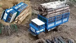 IFA Trucks transport wood over dangerous hills and mountains