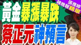 黃金大怒神來了 大漲後卻慘遭下殺!現貨黃金跌破4800美元/盎司! | 黃金暴漲暴跌 蔡正元神預言 | 蔡正元.介文汲.張延廷深度剖析?【張雅婷辣晚報】精華版@中天新聞CtiNews