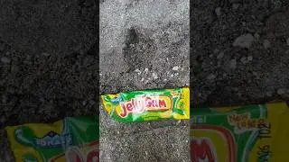 Digging in the sand Found JELLYGUM and share it with a small child. #shorts