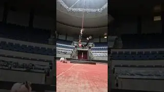 На репетициях бывает и такое ! #song #youtube #2024 #circus #good #reels #amazing #dog
