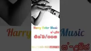 Harry Potter Music 😊 #flute #song #notation #cover #flute vibes #trending #viral #harrypotter #music