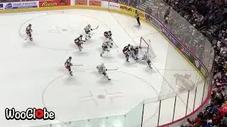 Teddy Bear Toss World Record During Hockey Match