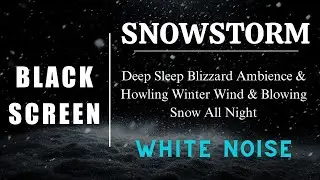 Deep Sleep Blizzard Ambience | Howling Winter Wind & Blowing Snow All Night